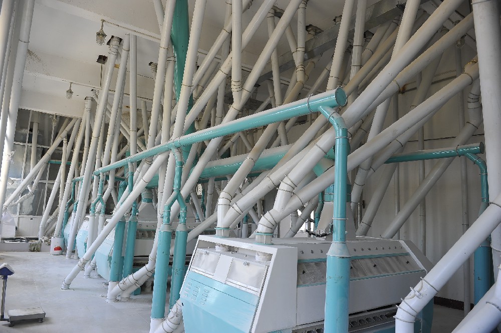 生物工程設備煥新顏：揭秘高效防護的醇酸工業高光磁漆